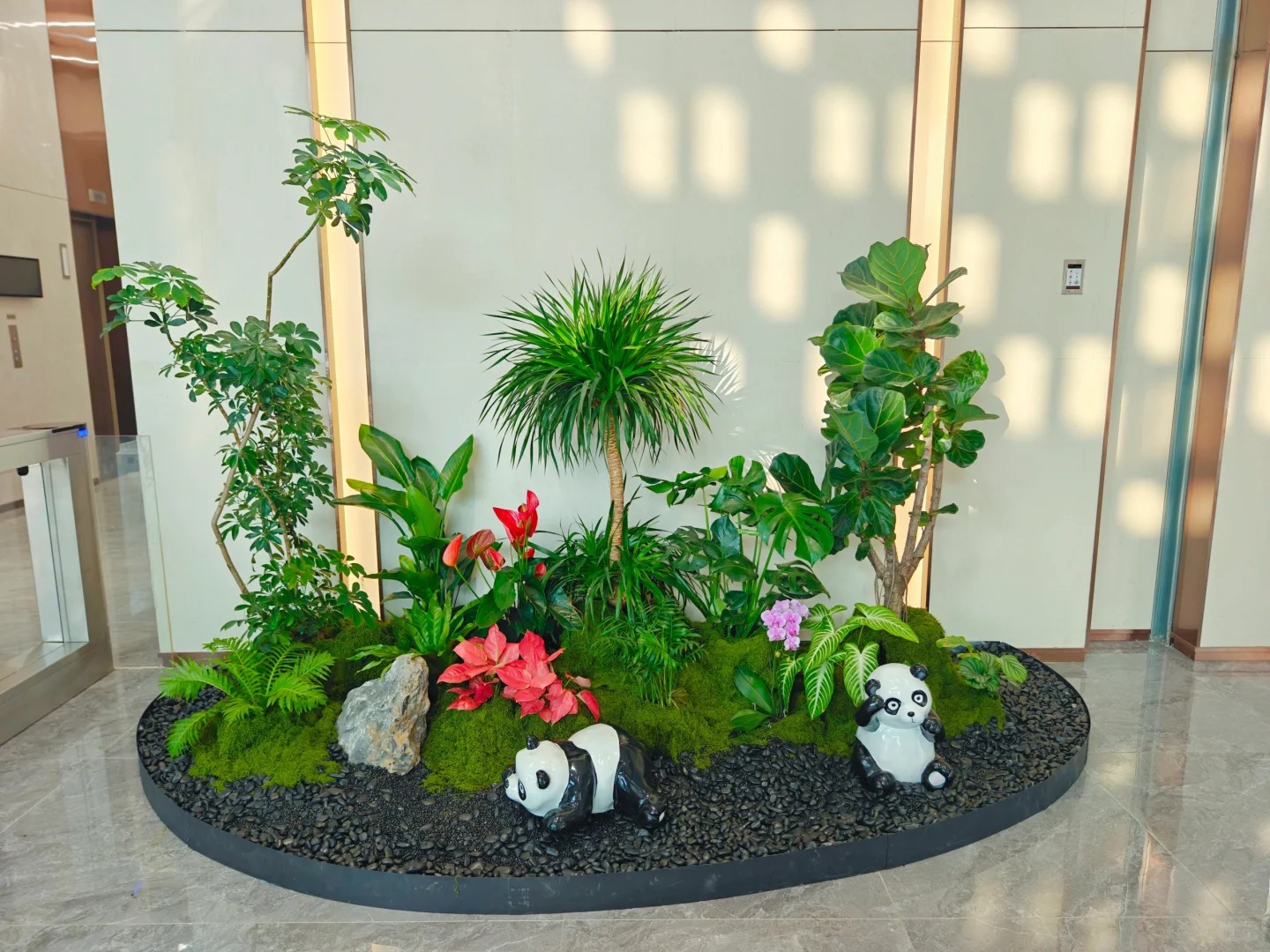 体验宁波江北盆景租摆，畅享绿色生活新方式